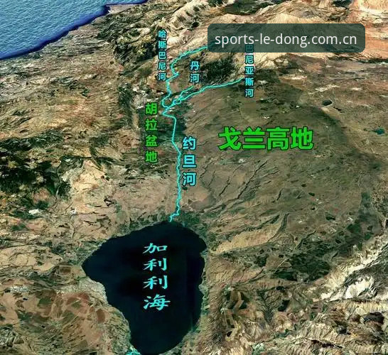 世界杯观赛遇冷：签证危机与地缘政治深度分析